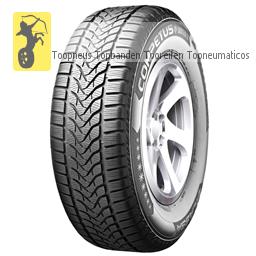 Competus Winter 2 Plus