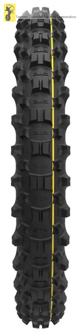 X STAR 01 EVO MEDIUM
